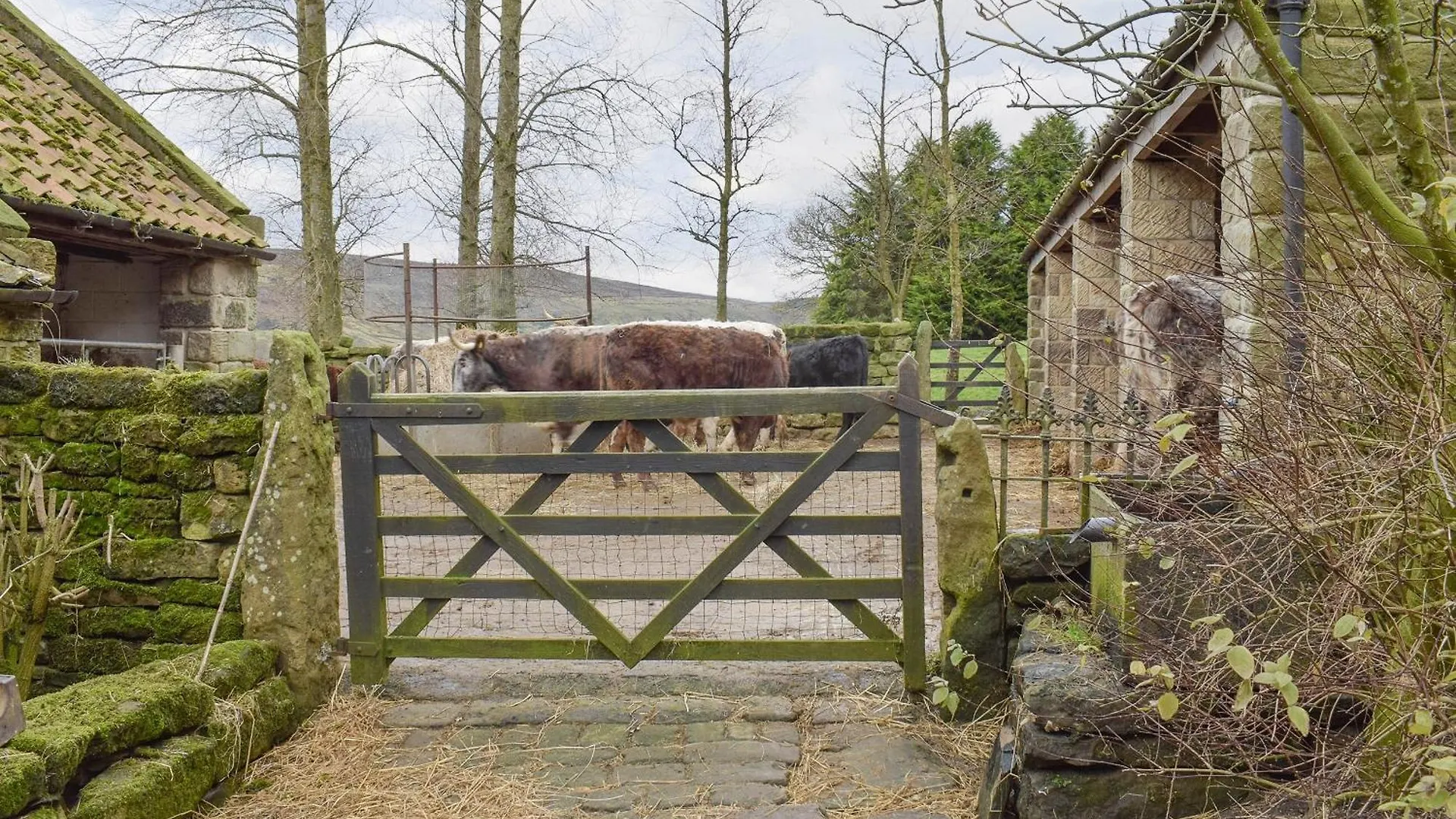 Threshing Barn - Kza Villa Glaisdale Holiday home